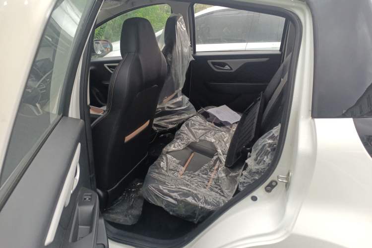 Used SOL E10X 2022 Flower Fairy Design Dandelion Left Rear Seat