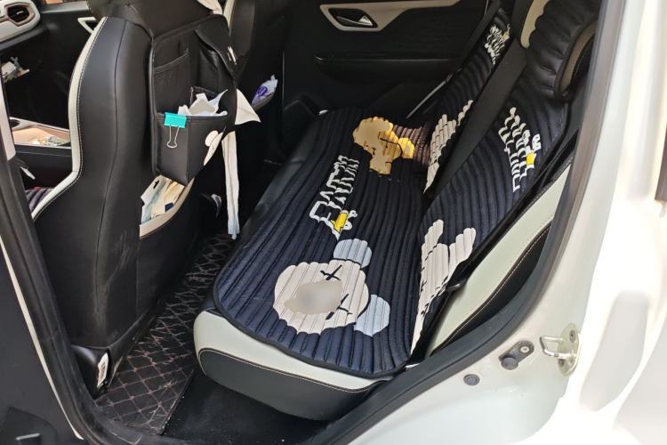Used SOL E10X 2022 Flower Fairy Design Four-Leaf Clover Left Rear Seat