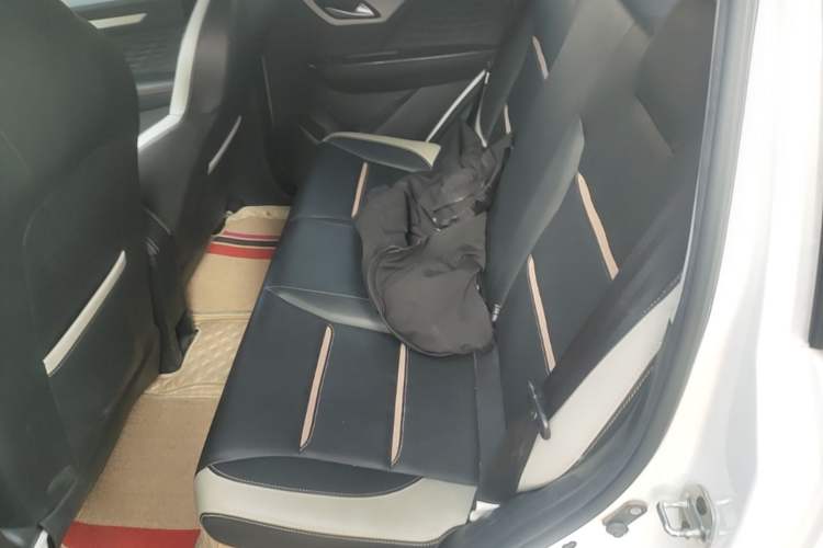 Used SOL E10X 2022 Flower Fairy Design Dandelion Left Rear Seat