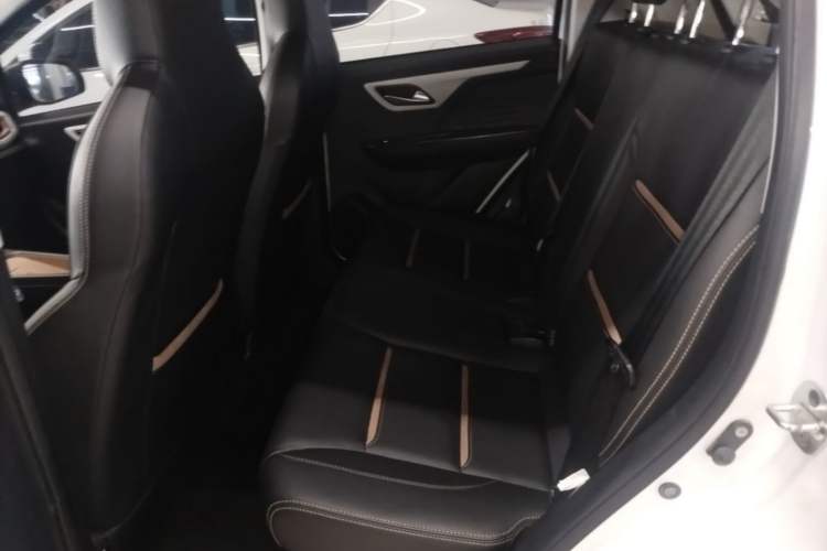 Used SOL E10X 2022 Flower Fairy Style Baby's Breath Left Rear Seat