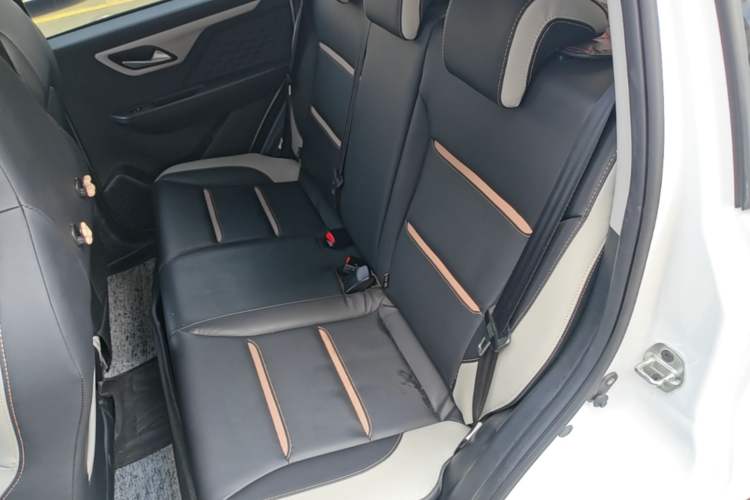 Used SOL E10X 2022 Flower Fairy Design Four-Leaf Clover Left Rear Seat