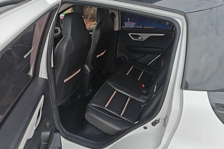 Used SOL E10X 2022 Flower Fairy Design Four-Leaf Clover Left Rear Seat