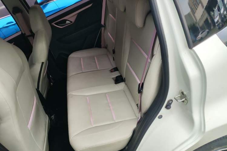 Used SOL E10X 2022 Flower Fairy Design Four-Leaf Clover Left Rear Seat