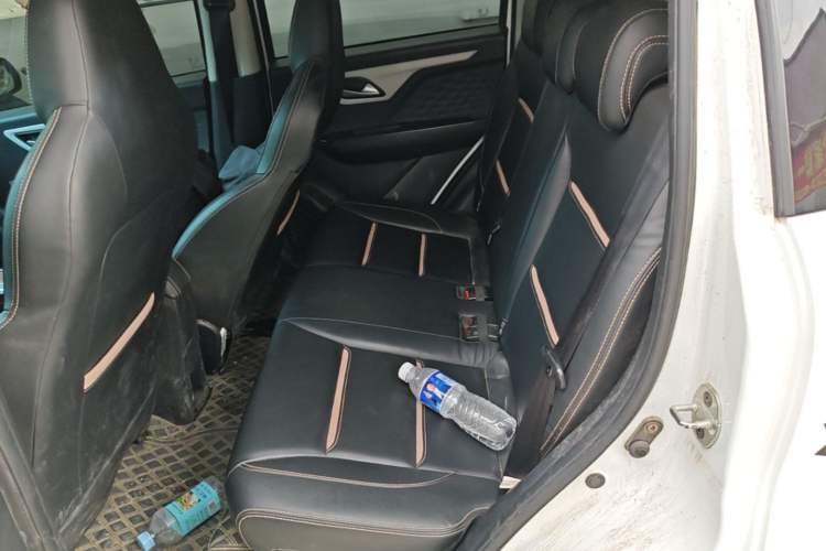 Used SOL E10X 2022 Flower Fairy Design Four-Leaf Clover Left Rear Seat