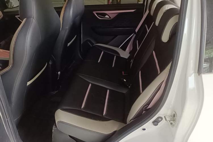 Used SOL E10X 2022 Flower Fairy Style Baby's Breath Left Rear Seat