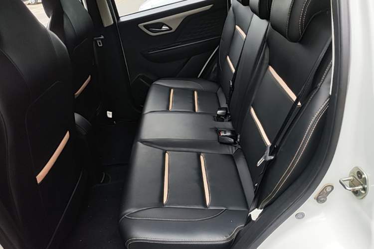 Used SOL E10X 2022 Flower Fairy Design Four-Leaf Clover Left Rear Seat