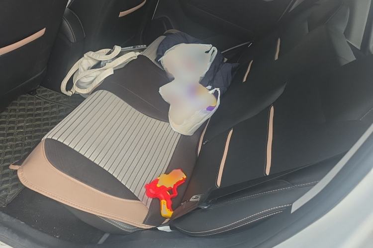 Used SOL E10X 2022 Flower Fairy Design Dandelion Left Rear Seat