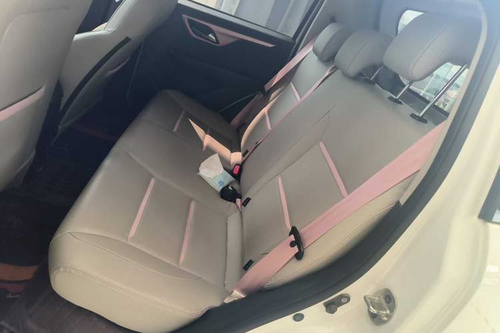 Used SOL E10X 2022 Flower Fairy Design Four-Leaf Clover Left Rear Seat