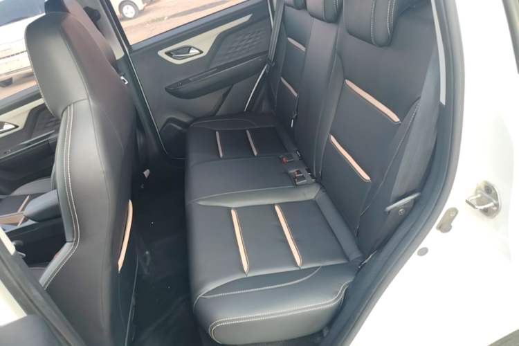 Used SOL E10X 2022 Flower Fairy Design Four-Leaf Clover Left Rear Seat