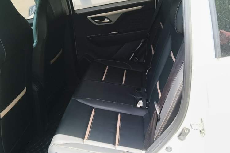 Used SOL E10X 2022 Flower Fairy Design Four-Leaf Clover Left Rear Seat
