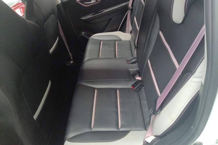 Used SOL E10X 2022 Flower Fairy Style Baby's Breath Left Rear Seat