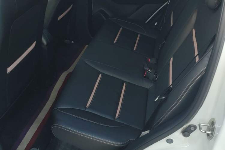 Used SOL E10X 2022 Flower Fairy Design Four-Leaf Clover Left Rear Seat