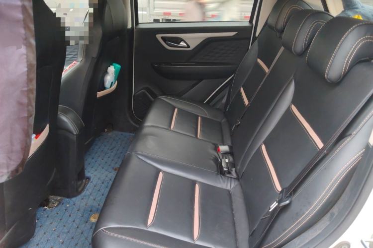 Used SOL E10X 2022 Flower Fairy Design Four-Leaf Clover Left Rear Seat