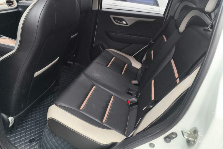 Used SOL E10X 2022 Flower Fairy Style Baby's Breath Left Rear Seat