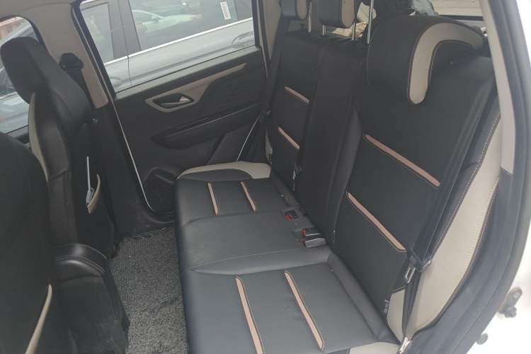 Used SOL E10X 2022 Flower Fairy Design Four-Leaf Clover Left Rear Seat