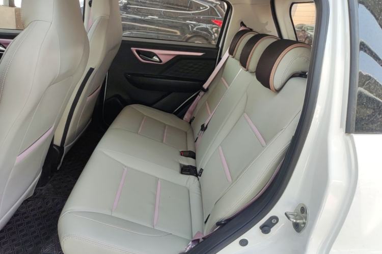 Used SOL E10X 2022 Flower Fairy Design Sunflower Left Rear Seat