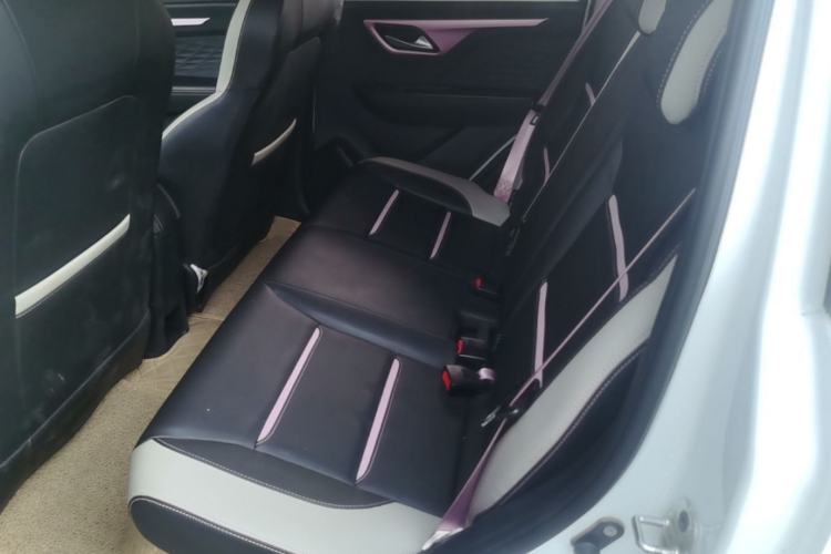 Used SOL E10X 2022 Flower Fairy Style Baby's Breath Left Rear Seat