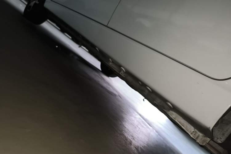 Used SOL E10X 2022 Flower Fairy Style Baby's Breath Left Side Sill