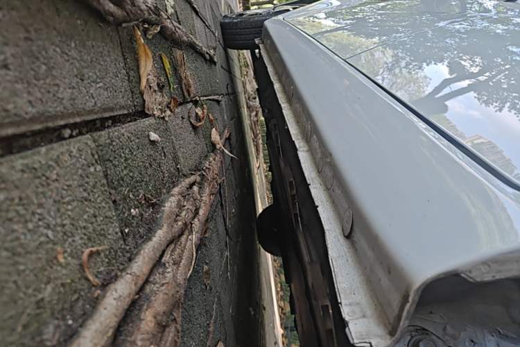 Used SOL E10X 2022 Flower Fairy Style Baby's Breath Left Side Sill
