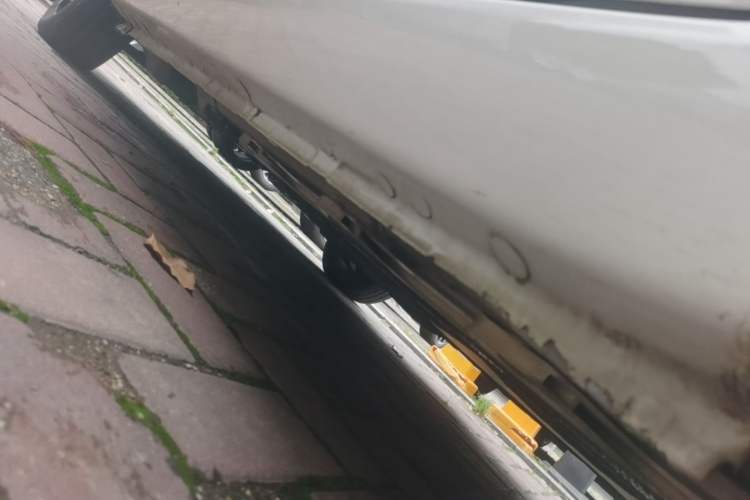 Used SOL E10X 2022 Flower Fairy Style Baby's Breath Left Side Sill