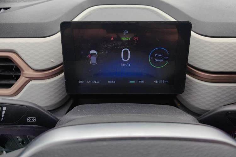 Used SOL E10X 2022 Flower Fairy Style Baby's Breath Odometer Close Up