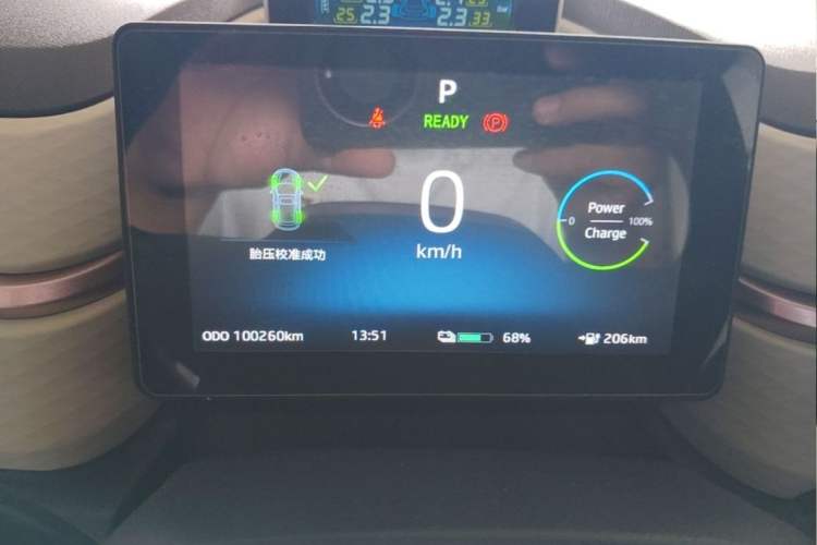 Used SOL E10X 2022 Flower Fairy Style Baby's Breath Odometer Close Up