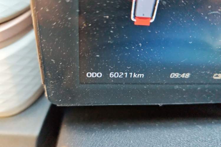 Used SOL E10X 2022 Flower Fairy Style Baby's Breath Odometer Close Up