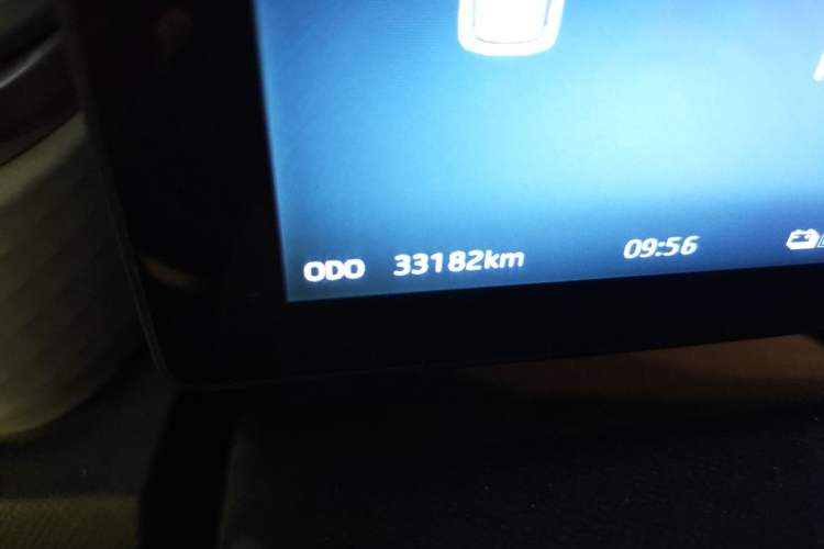 Used SOL E10X 2022 Flower Fairy Design Four-Leaf Clover Odometer Close Up