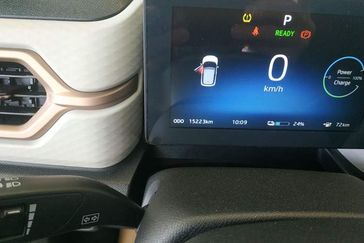 Used SOL E10X 2022 Flower Fairy Design Four-Leaf Clover Odometer Close Up