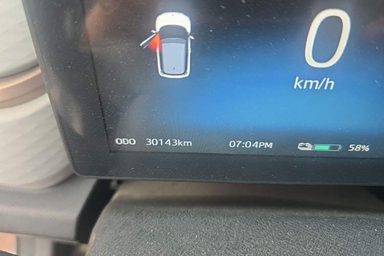 Used SOL E10X 2022 Flower Fairy Design Dandelion Odometer Close Up
