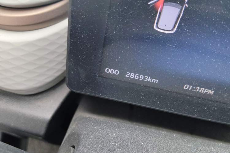 Used SOL E10X 2022 Flower Fairy Design Four-Leaf Clover Odometer Close Up