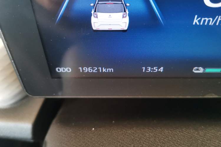 Used SOL E10X 2022 Flower Fairy Style Baby's Breath Odometer Close Up