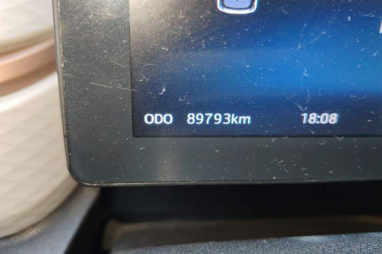Used SOL E10X 2022 Flower Fairy Design Four-Leaf Clover Odometer Close Up