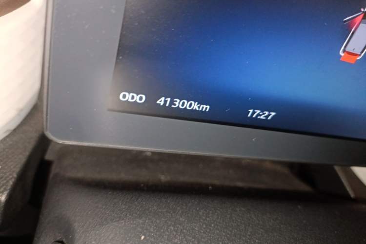 Used SOL E10X 2022 Flower Fairy Style Baby's Breath Odometer Close Up