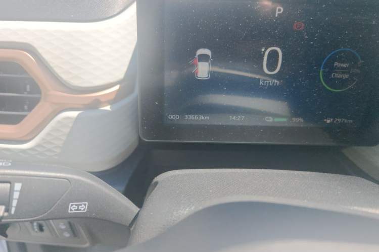 Used SOL E10X 2022 Flower Fairy Style Baby's Breath Odometer Close Up