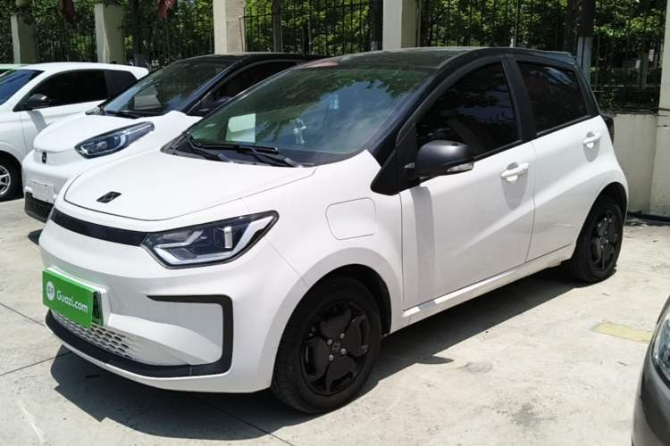 Used SOL E10X 2022 Flower Fairy Design Four-Leaf Clover Guazi used car, China used car export, Used car for sale, Used  cars, Cheapest cars for sale
