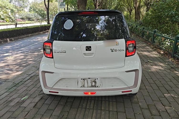 Used SOL E10X 2022 Flower Fairy Style Baby's Breath Rear