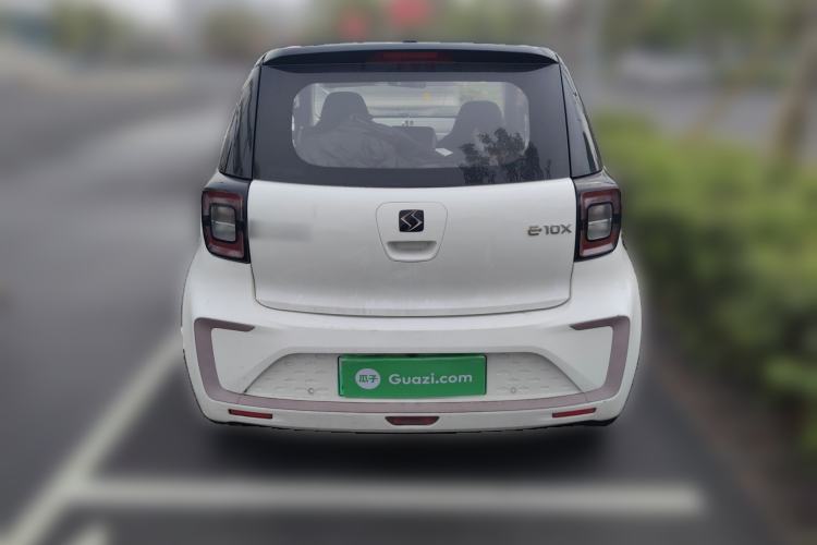 Used SOL E10X 2022 Flower Fairy Style Baby's Breath Rear