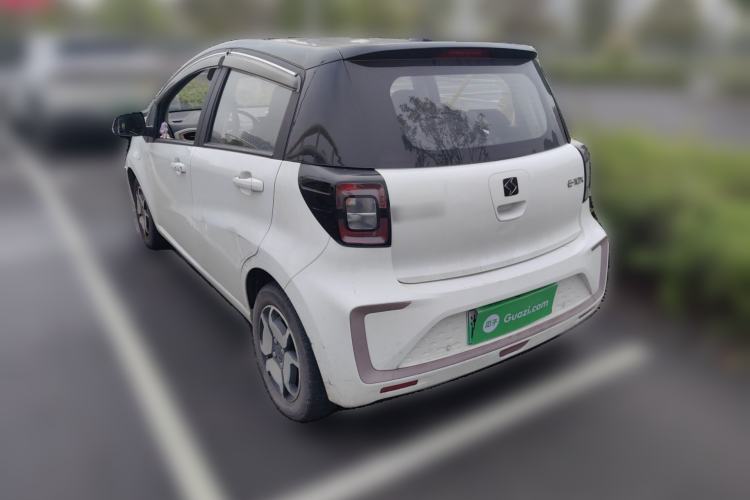 Used SOL E10X 2022 Flower Fairy Style Baby's Breath Rear Left 45 Deg