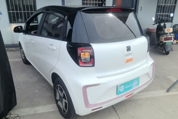 Used SOL E10X 2022 Flower Fairy Style Baby's Breath Rear Left 45 Deg