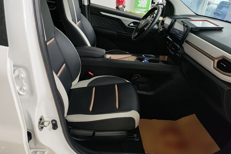 Used SOL E10X 2022 Flower Fairy Design Dandelion Right Front Seat