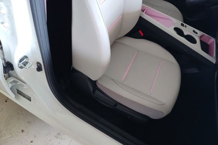 Used SOL E10X 2022 Flower Fairy Style Baby's Breath Right Front Seat