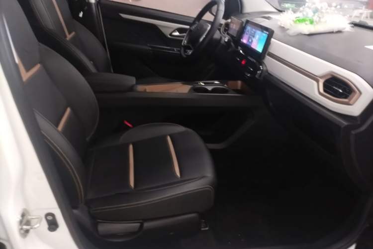 Used SOL E10X 2022 Flower Fairy Style Baby's Breath Right Front Seat
