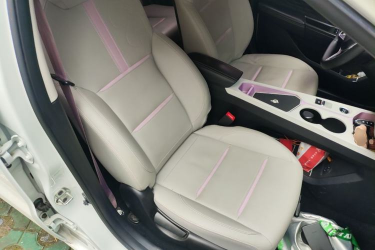 Used SOL E10X 2022 Flower Fairy Design Four-Leaf Clover Right Front Seat