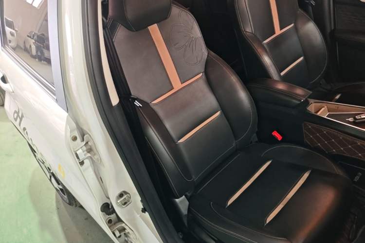 Used SOL E10X 2022 Flower Fairy Style Baby's Breath Right Front Seat