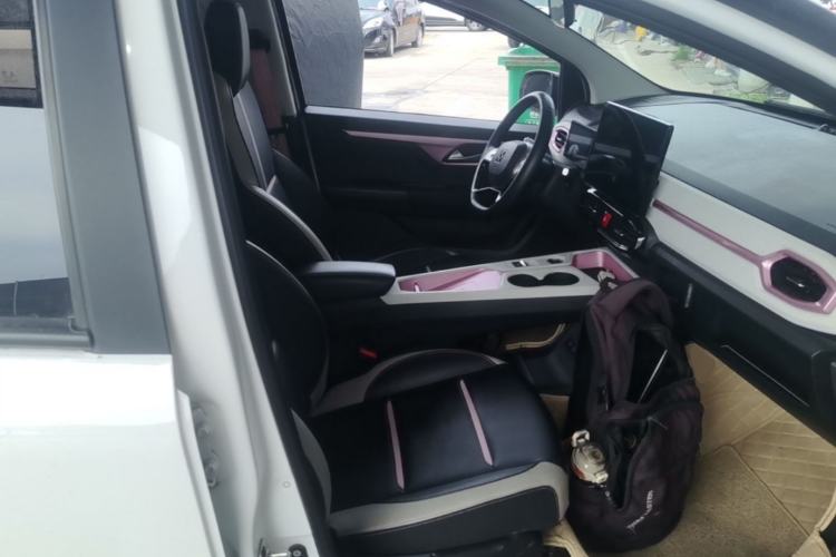 Used SOL E10X 2022 Flower Fairy Style Baby's Breath Right Front Seat