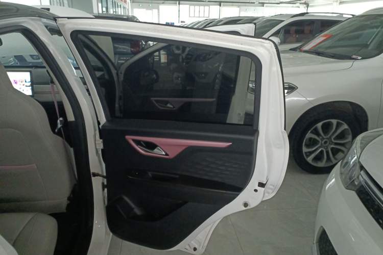 Used SOL E10X 2022 Flower Fairy Style Baby's Breath Right Rear Door Interior