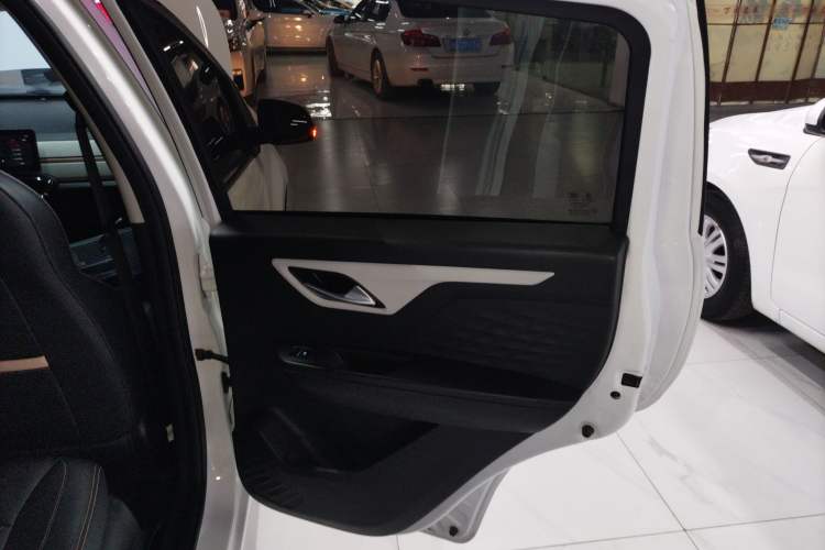 Used SOL E10X 2022 Flower Fairy Design Dandelion Right Rear Door Interior