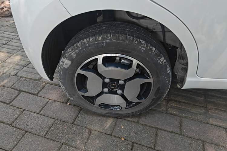 Used SOL E10X 2022 Flower Fairy Style Baby's Breath Right Rear Wheel Hub