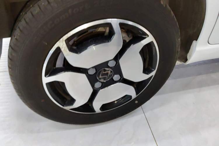 Used SOL E10X 2022 Flower Fairy Style Baby's Breath Right Rear Wheel Hub